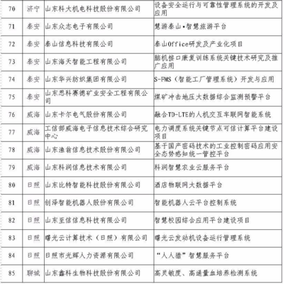 日照5家企業(yè)入選省級(jí)重點(diǎn)項(xiàng)目名單，引領(lǐng)網(wǎng)絡(luò)與信息安全軟件開發(fā)新浪潮
